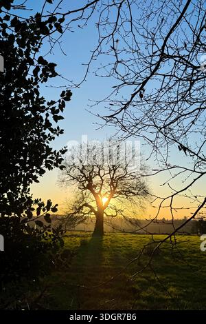 Rivington lower reservoir near Chorley in Lancashire. Late afternoon sun shining through tree Stock Photo
