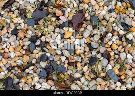 Authentic Pebble Stone Mosaic Background for Design Use. Stock Photo