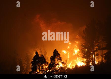 Concepcion, Chile. 28th Jan, 2026. Concepción, Chile - January 18, 2026: A tragic preliminary toll confirms one death and 253 homes destroyed following uncontrolled wildfires in the commune. Driven by strong winds overnight, the flames rapidly reached urban sectors, also affecting the neighboring towns of Penco and Lirquén. Emergency crews are struggling to contain the disaster in the Biobío region as the fire consumes residential areas. (Photo: Carlos Acuña/ATON/UNAR AGENCY) Credit: Sipa USA/Alamy Live News Stock Photo