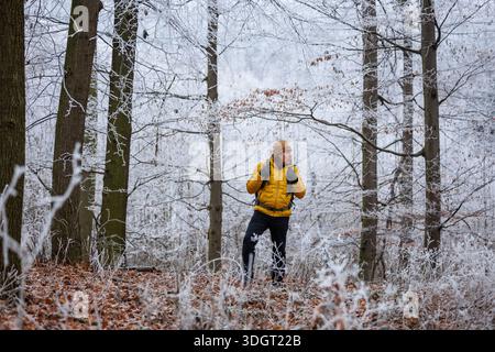 Hiking in winter forest. Man tourist in yellow jacket trekking through dark frosty woodland. Adventure in nature Stock Photo
