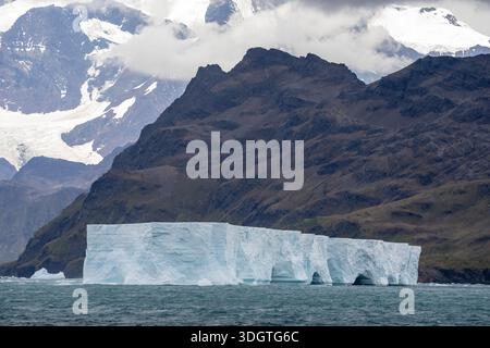 Tabular icebergs, Stromness Bay, South Georgia. Stock Photo