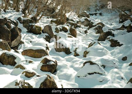 Snow-covered volcanic rocks on Hallasan, irregular stone patterns and soft winter light creating a natural texture background, rugged mountain terrain Stock Photo