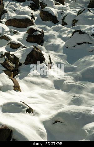 Snow-covered volcanic rocks on Hallasan, irregular stone patterns and soft winter light creating a natural texture background, rugged mountain terrain Stock Photo
