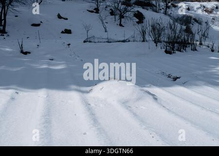 Natural snow surface texture with subtle patterns and soft winter light Stock Photo
