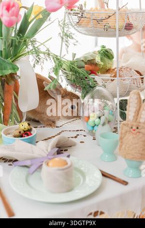 Easter table close up detail. Easter bunny egg cosy and folded napkin decorations for festive Sunday breakfast Stock Photo