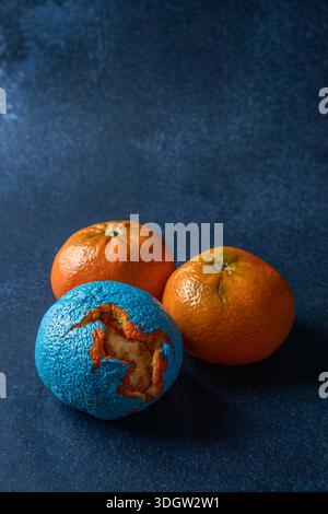Three tangerines are placed on a dark textured surface. Two are natural orange color, while one is painted blue and partially peeled. Stock Photo