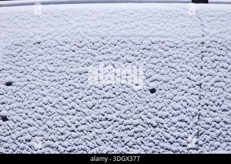 Fresh snow texture background. Natural fresh snow surface as winter background, detailed texture with soft light and minimal visual noise. Stock Photo