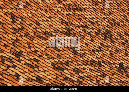 Orange roof tiles Stock Photo