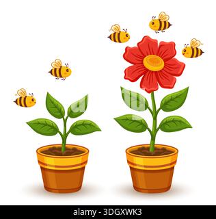 Flower plant seedling growth stage, houseplant growing, garden blooming herb in flowerpot. Blossom green leaves sapling pollination flying bee. Agricu Stock Vector