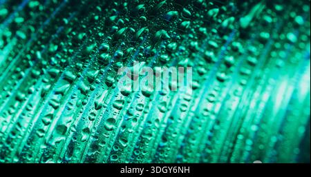 Water drop background. Blur line light. Green rain dew on corrugated texture. Bubble moisture on color liquid abstract uneven wall. Stock Photo
