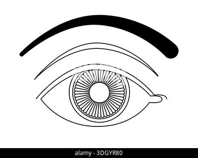 minimalist black and white line art illustration of human eye with eyebrow and pupil looking forward representing vision Stock Vector