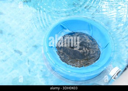 Top view of the blue skimmer for cleaning the pool in clear water. Contaminated pool cleaning concept. Stock Photo