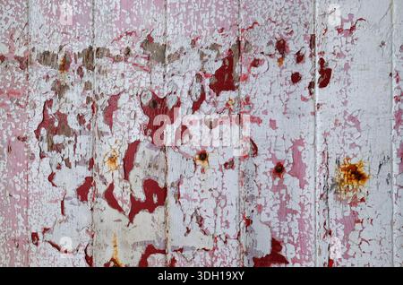 weathered flaky paint on old wooden door, norfolk, england Stock Photo