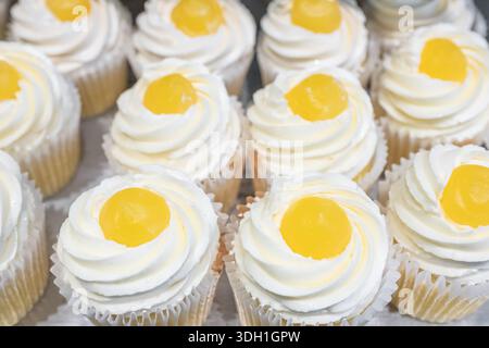 Fresh vanilla cupcakes with cream and apricot. Delicious cupcakes with white cream and yellow fruit on top, closeup. Nobody Stock Photo