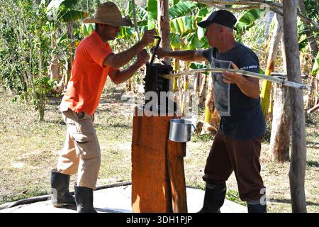 Two men pressing sugarcane juice using a manual press in Viñales, Cuba Stock Photo