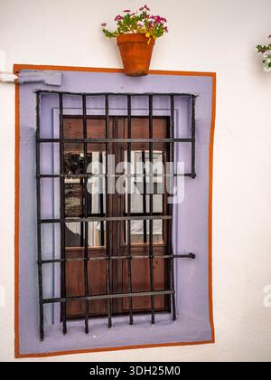 Purple Borders and Iron Grids: Córdoba’s Quiet Architectural Pulse (Cordoba, Spain: September 10th, 2022) Stock Photo