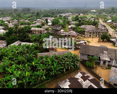 Aerial view of a lush banana plantation with dense green foliage and ...
