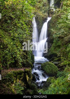 Water tumbles over the falls at Stock Ghyll Force in woodland near Ambleside in England's Lake District. Stock Photo