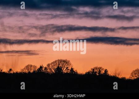 Sunset behind the tree line near Haughley, Suffolk, UK Stock Photo