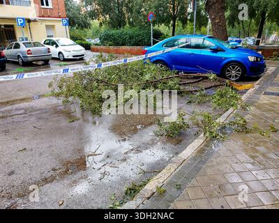 Fallen tree branches on cars after strong winds caused by a storm, showing weather damage in an urban area. Spain. Stock Photo