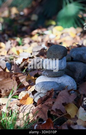 Close-up of balanced gray rocks on bed of colorful fallen leaves with green foliage background Stock Photo
