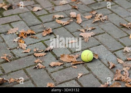 Bright green tennis ball lying on gray brick pavement scattered with dry brown oak leaves in outdoor autumn setting Stock Photo