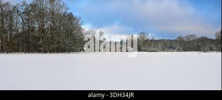 A tranquil winter scene with a pristine blanket of snow covering the ground and trees, under a bright blue sky with scattered clouds. The peaceful atm Stock Photo