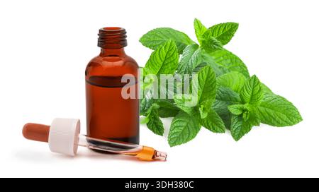 Mint with essence bottle isolated on white background Stock Photo