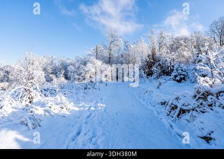 hiking trail in a snowy landscape in the German Oberberg district Stock Photo