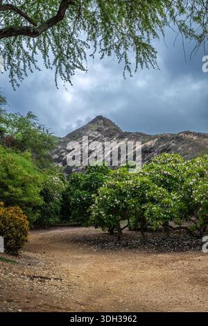 Koko head hi-res stock photography and images - Alamy