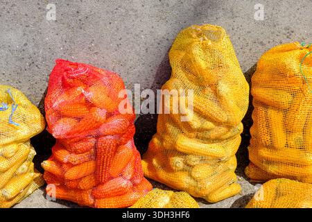 Harvested corn cobs stored in yellow and red mesh sacks Stock Photo