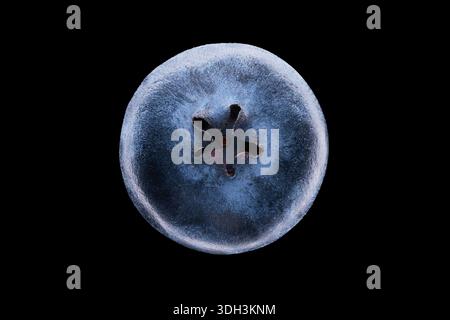 Fresh blueberry fruit isolated on transparent background Stock Photo