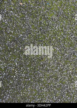 Asphalt and Small Stone Texture with Green Moss Stock Photo