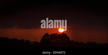 Sunset, low sun disc over trees near horizon Stock Photo