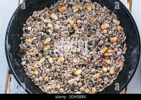 A close-up image of assorted grains including corn and seeds in a black bowl, perfect for ostrich feeding. The variety of textures and colors showcase Stock Photo
