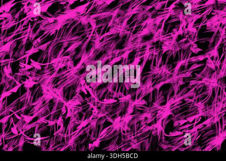 Vivid neon pink abstract patterns swirl across the dark black backdrop, creating a dynamic and energetic illustration. Ideal for modern and vibrant de Stock Photo
