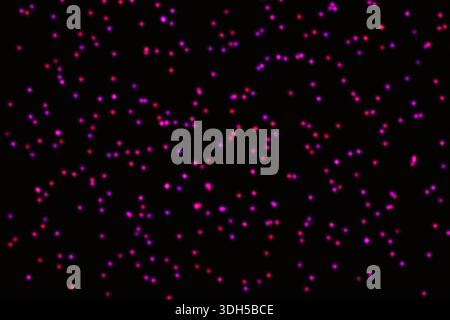 A captivating illustration featuring vibrant neon pink and purple dots scattered on a deep black background. Perfect for adding a touch of color and m Stock Photo