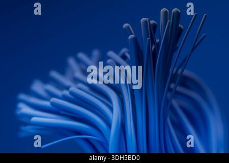 Close up view of a bundle of blue network cables, intricately arranged in an abstract pattern, emphasizing the importance of connectivity and digital Stock Photo