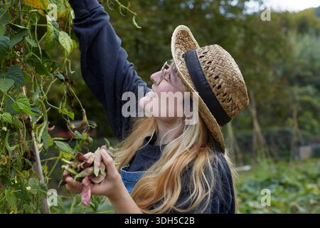 A woman in a straw hat joyfully harvests fresh produce from her garden. Surrounded by vibrant green plants, she collects beans with care and satisfact Stock Photo