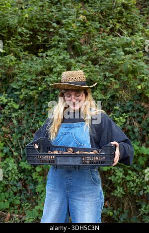 A cheerful woman wearing overalls and a straw hat harvesting walnuts in a garden. She holds a crate filled with freshly picked nuts, surrounded by lus Stock Photo