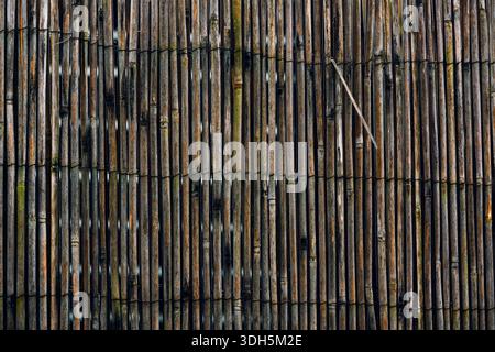 Weathered Bamboo Fence with Vertical Poles and Natural Texture Stock Photo