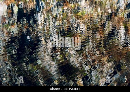 Abstract Water Reflection with Distorted Trees and Colorful Patterns Stock Photo