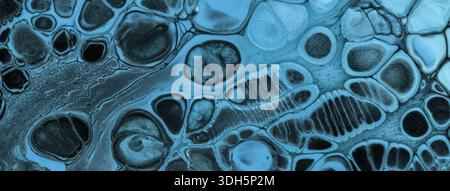 Abstract fluid art background in black blue tones with marble texture, cells pattern and acrylic pour painting. Stock Photo