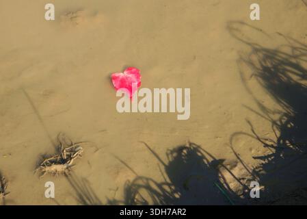 fallen red leaf in autumn floating on muddy water Stock Photo