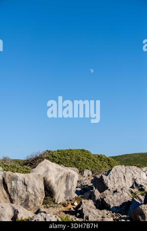 A partial moon is visible in a clear blue sky above rocky ground and low coastal vegetation during daylight. Stock Photo