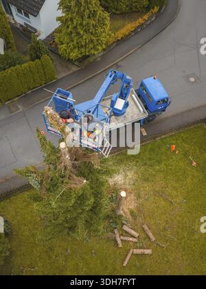 Aerial view of workers on a lift next to a cut tree, tree work, Gechingen, Calw district, Germany Stock Photo