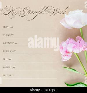 Elegant weekly planner page featuring pink peony flower background. Includes daily sections with lines for writing. Aesthetic design for digital or pr Stock Photo