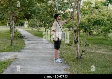 Young man standing on a park path and touching tree branches in an outdoor green area. Stock Photo
