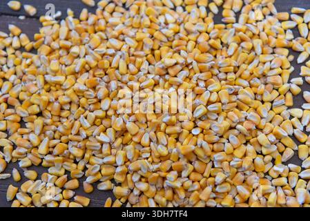 Close up of yellow corn kernels scattered on rustic wooden table. Agriculture harvest and animal feed concept. Stock Photo