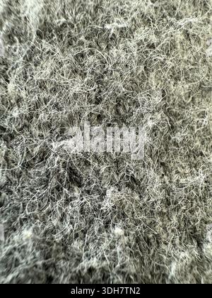 Wool texture macro image showing intricate fibers and patterns, suitable as a background. Mobile photo Stock Photo